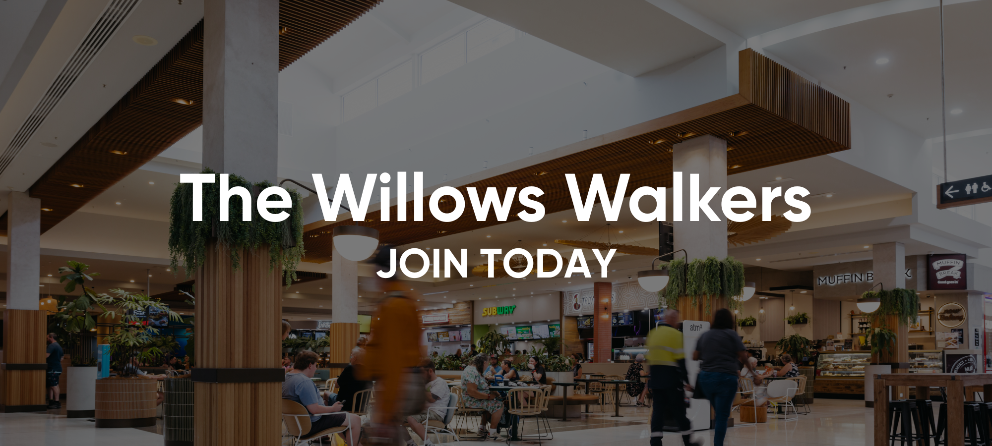 The Willows Walkers